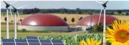 9 miljoen euro subsidie beschikbaar voor Marktintroductie Energie-innovatie (MEI) glastuinbouw