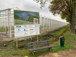 Referentie: Nieuwbouw aardbeienbedrijf te Belfeld